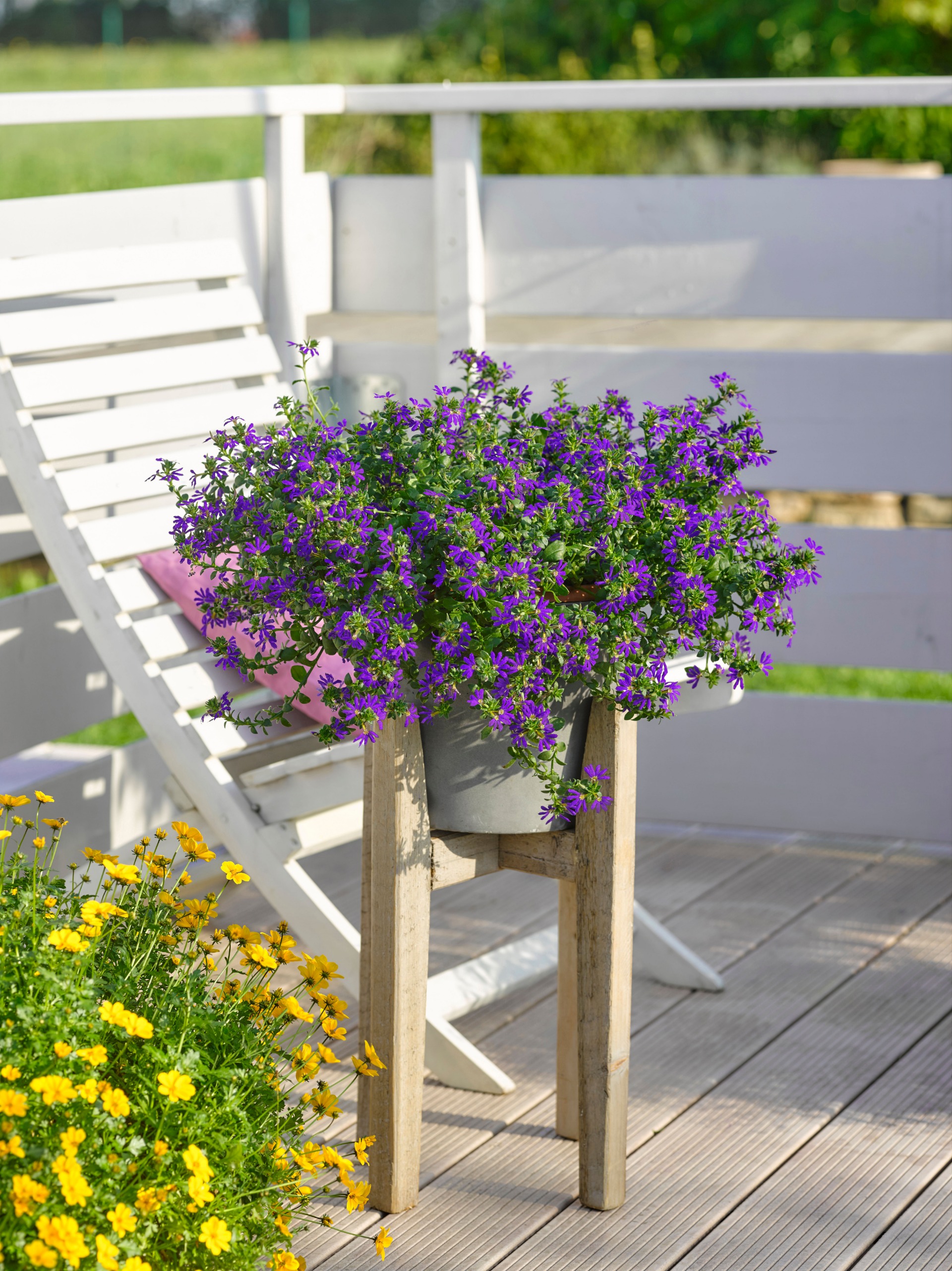 Surdiva Deep Violet Blue