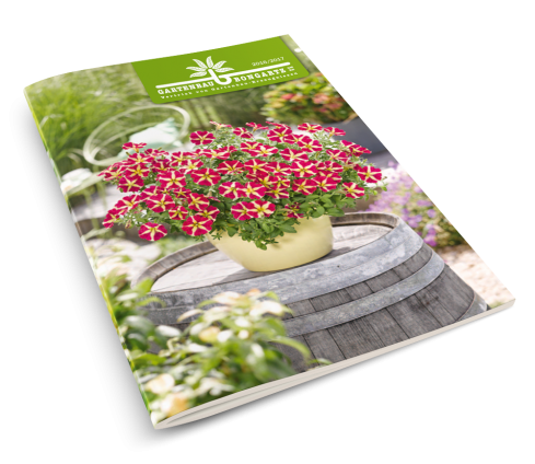 Der neue Katalog für Gärtnereien und Wiederverkäufer ist da! 