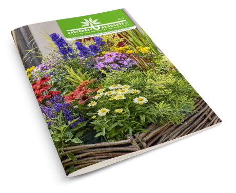 Bongartz Katalog