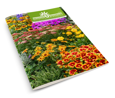 Bongartz Katalog
